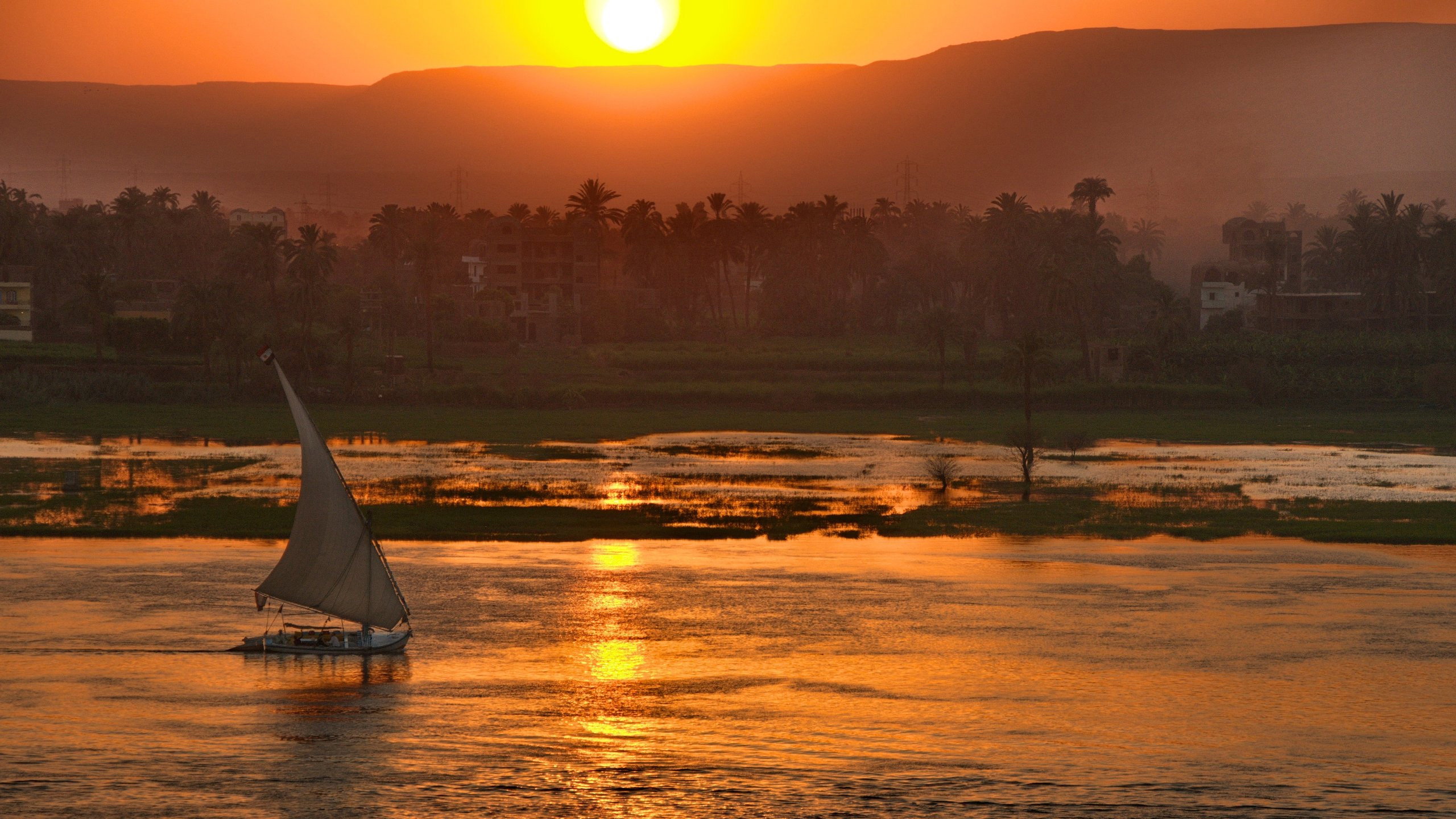 Wild Nile