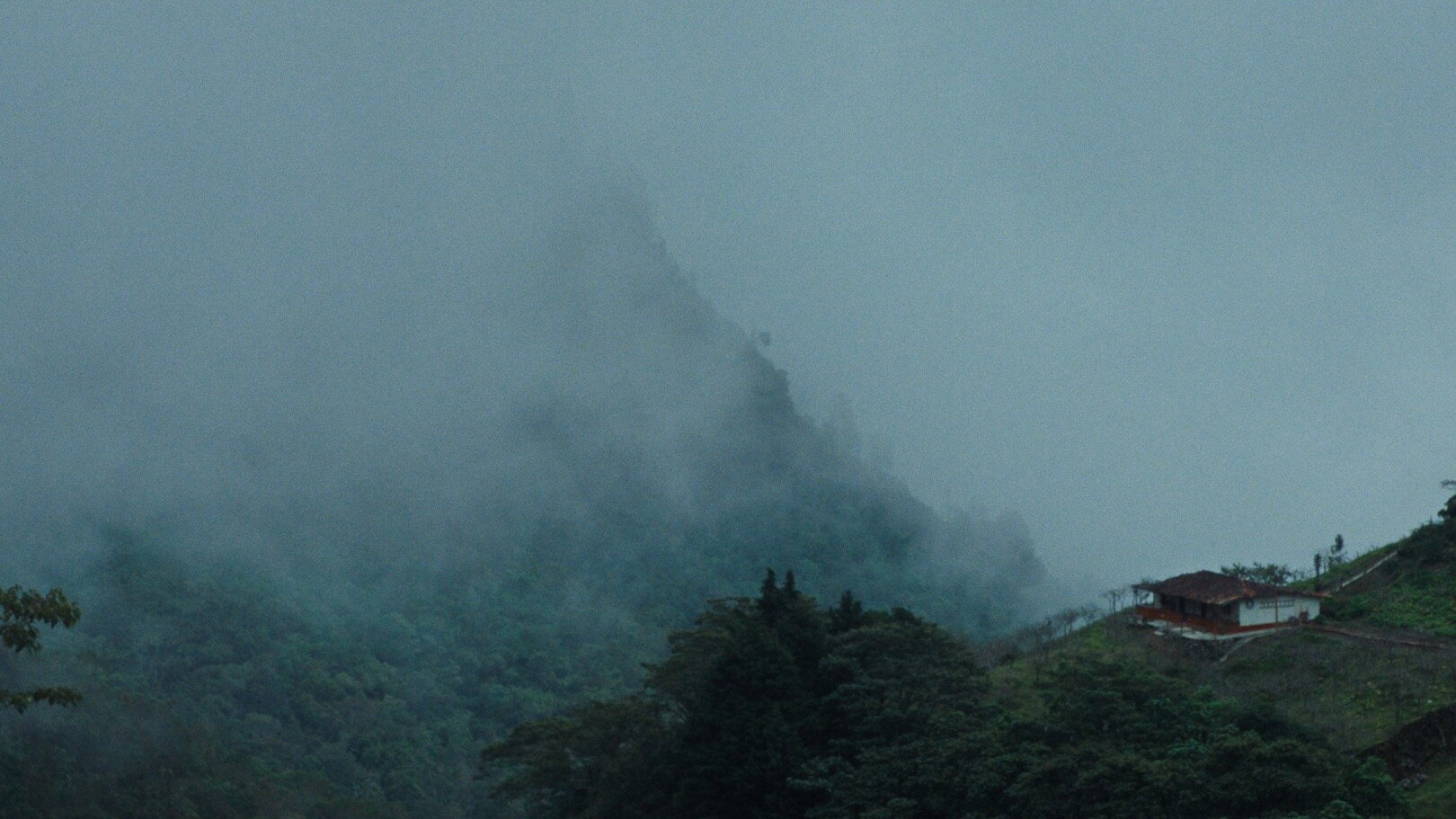 Under the Mountain's Shadow
