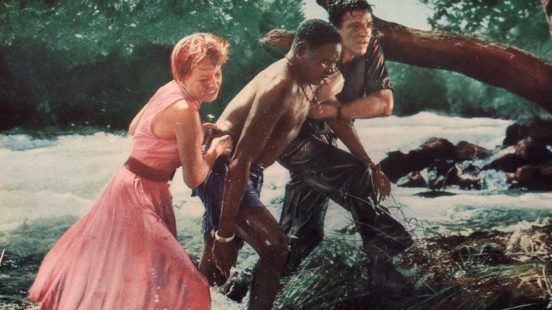 Duel in the Jungle