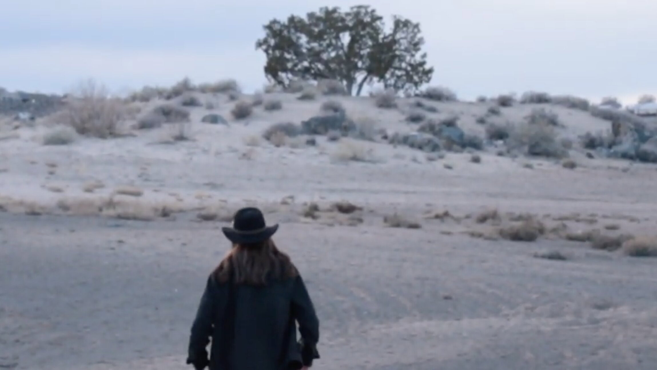 Man in the Mesa