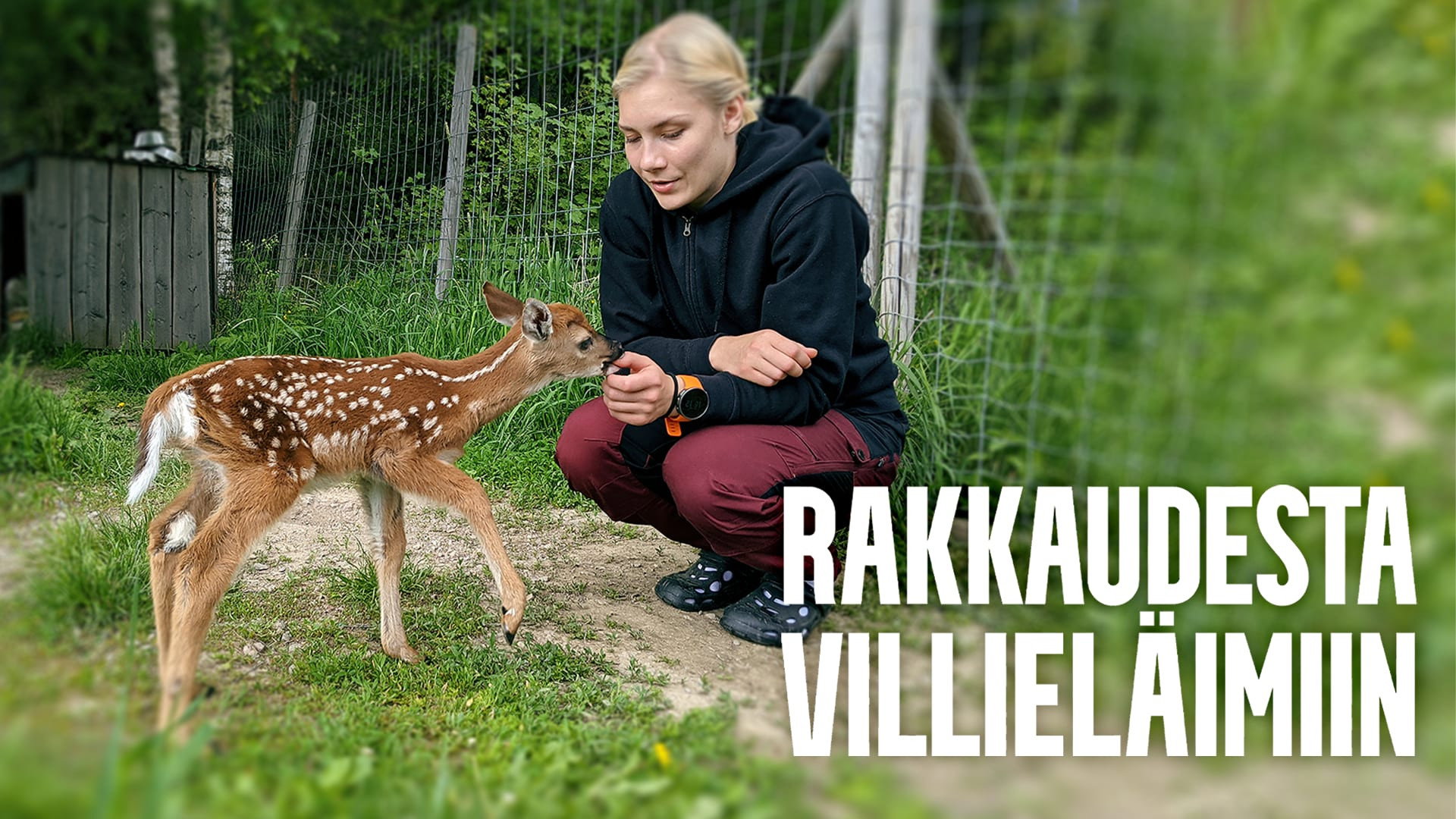 Rakkaudesta villieläimiin