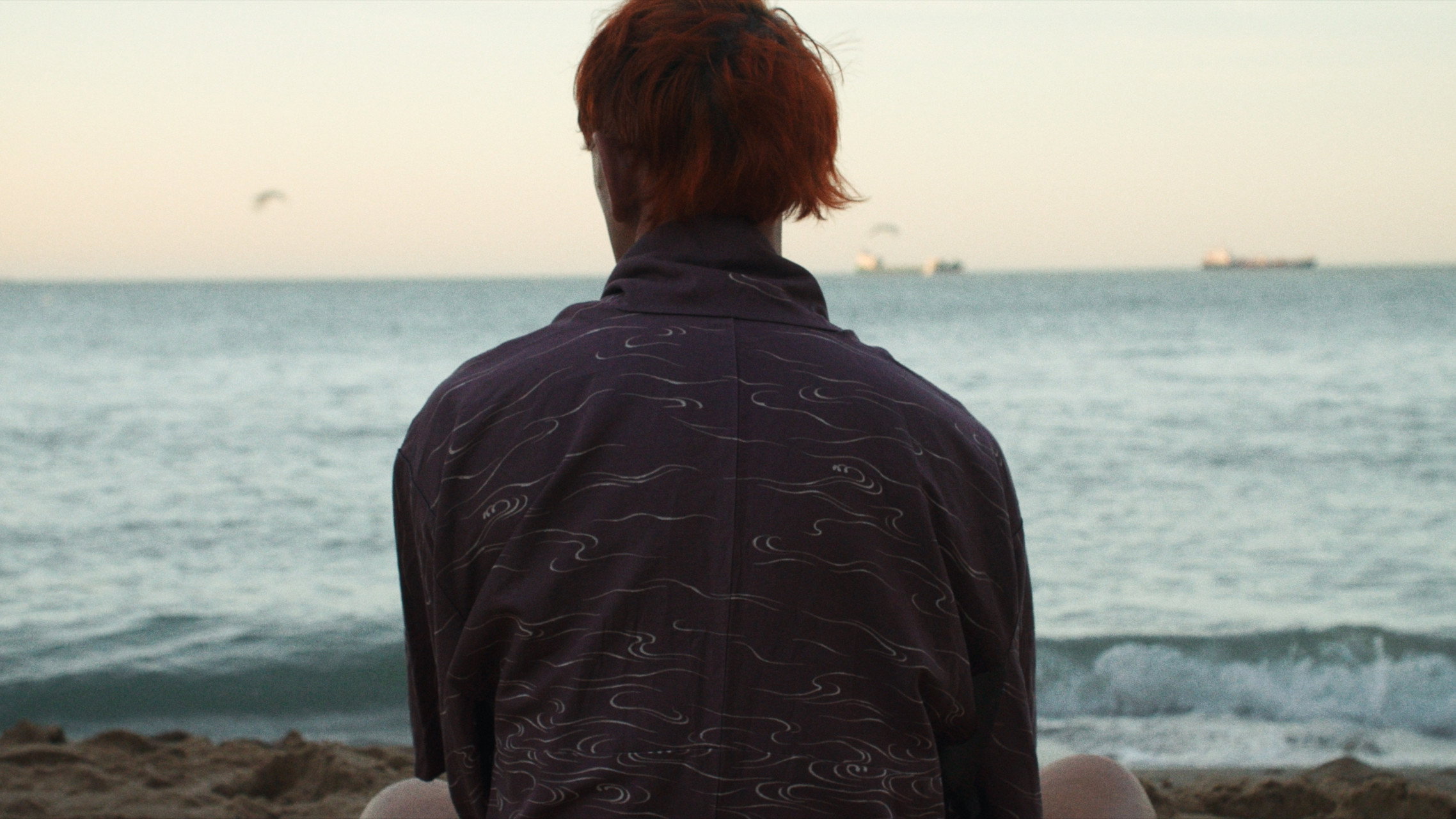 Howls to the Harbour