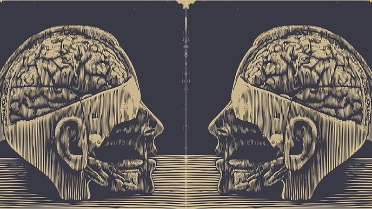 Lobotomy, or the Blinding Creation of Moniz