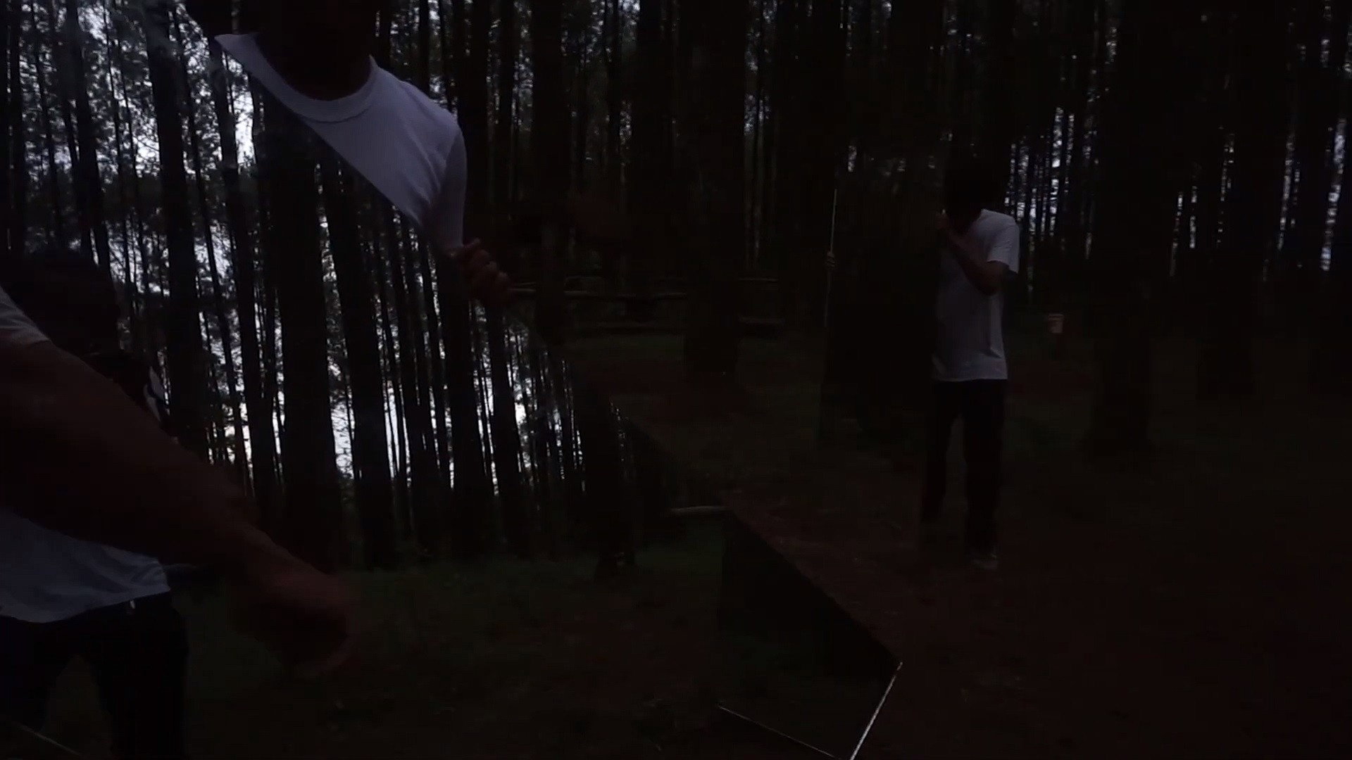 In The Pines