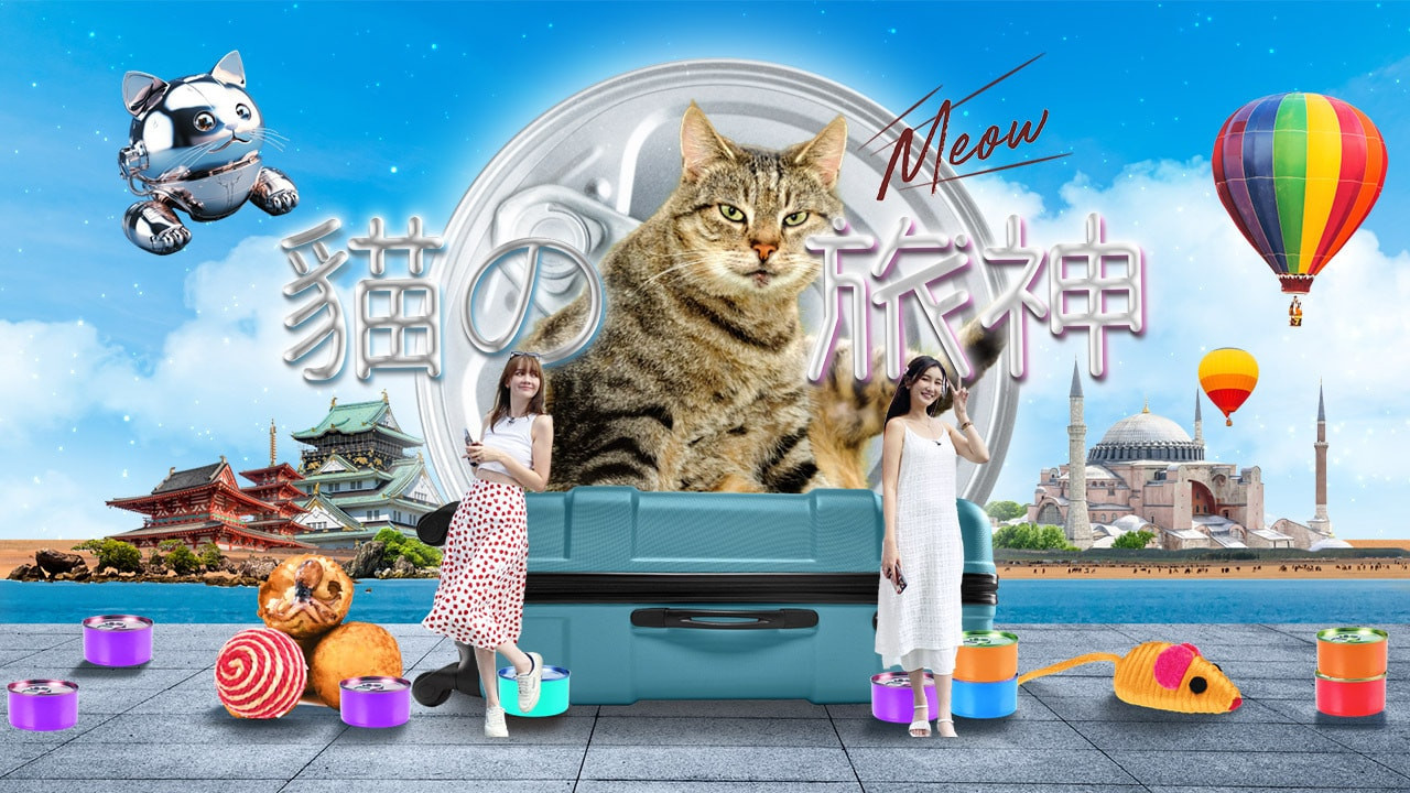 猫之旅神