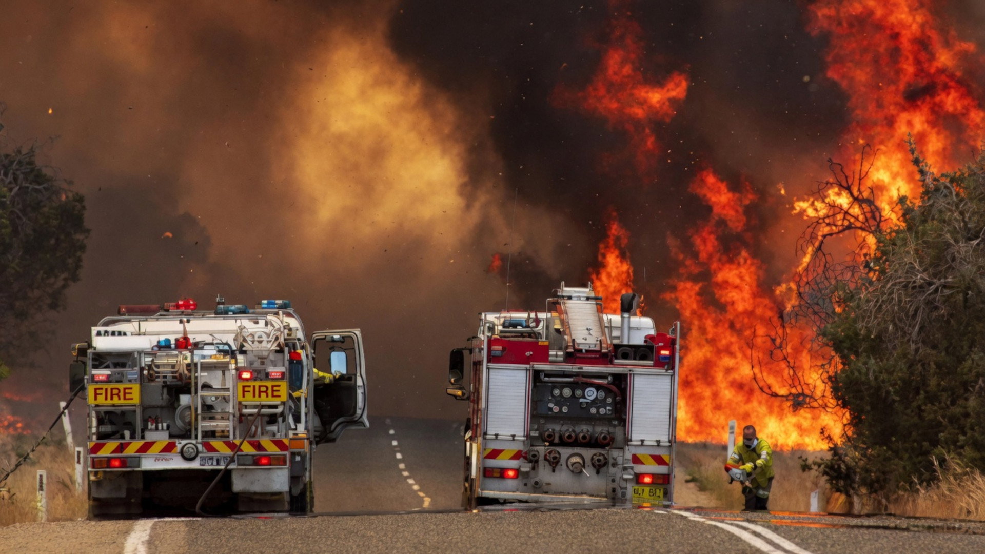 Inside the Firestorm