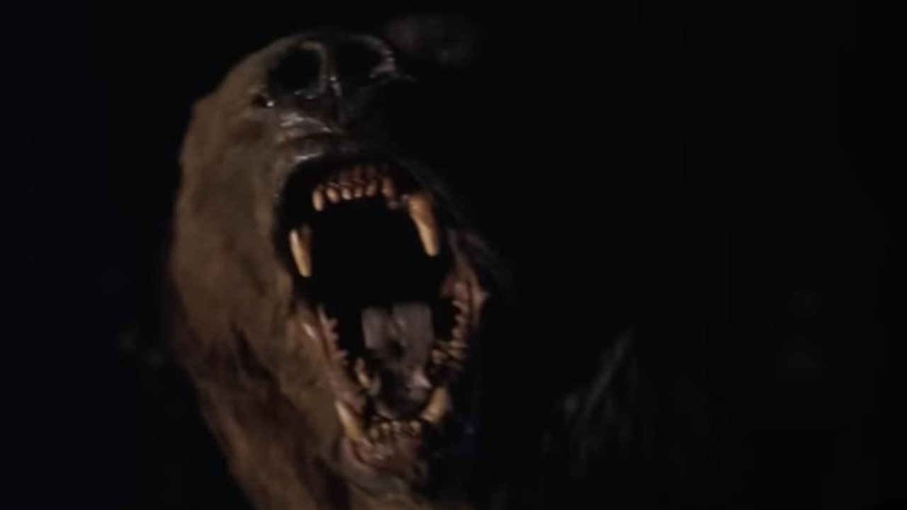 Wild Grizzly