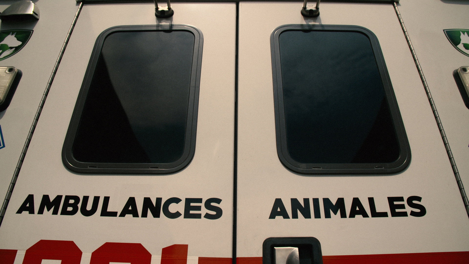 Ambulances animales
