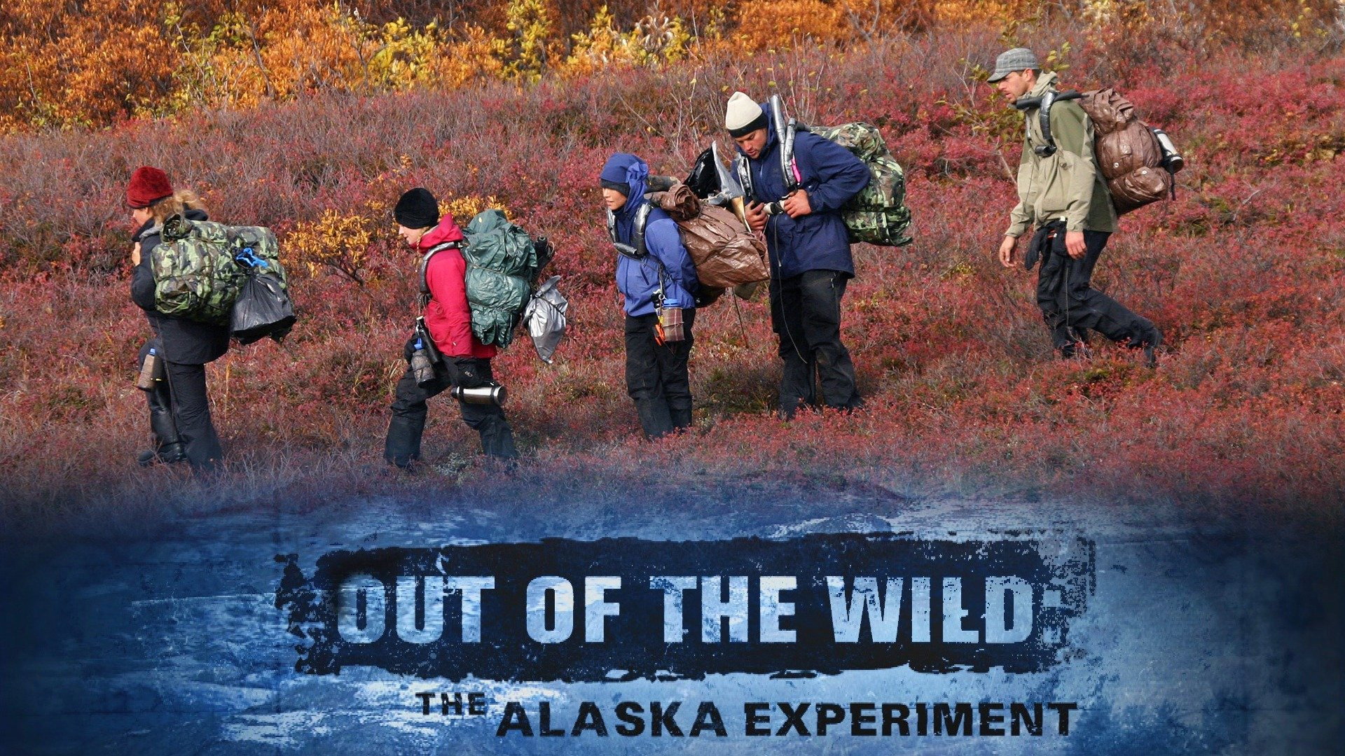 Out of the Wild