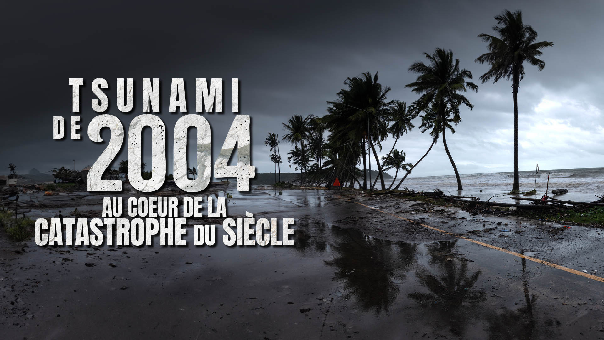 Tsunami 2004 : ils ont filmé la catastrophe du siècle