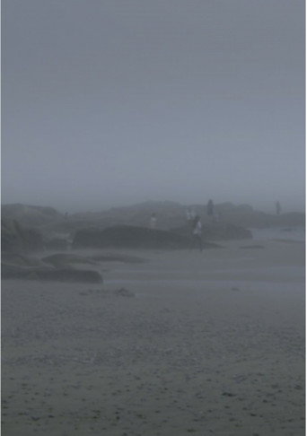 The Fog Has Covered The Moment Again