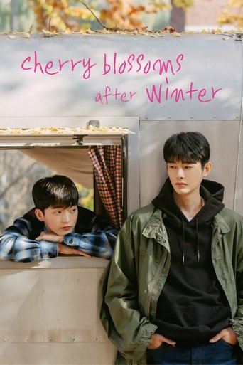 Cherry Blossoms After Winter