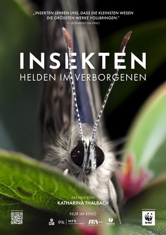 Insects – Hidden Heroes