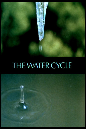 The Water Cycle