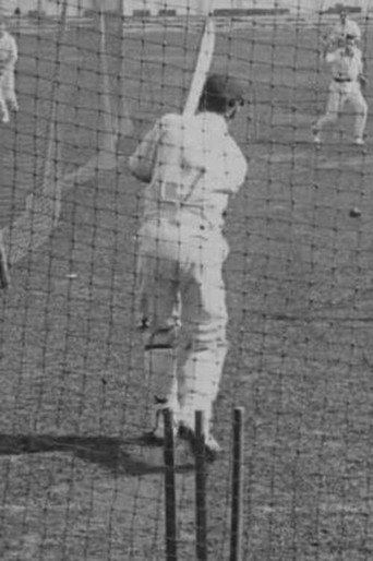 Cricket Again!