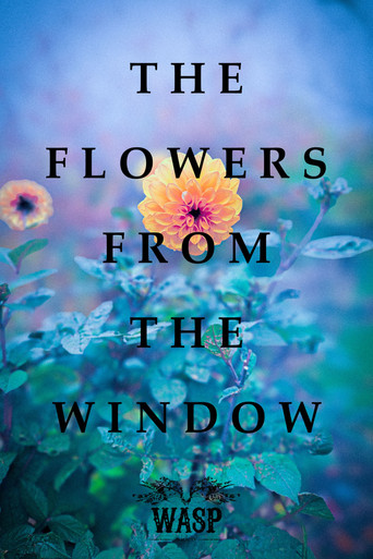 The Flowers From The Window