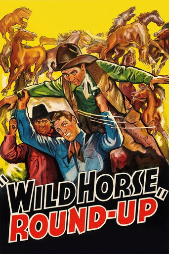 Wild Horse Round-Up
