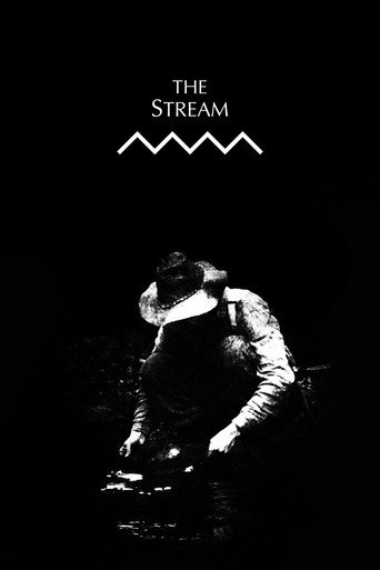 The Stream