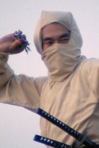 Re-Enter the 'New York Ninja'