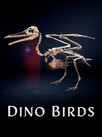 Dino Birds