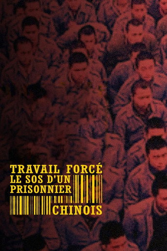 Forced Labour: SOS from a Chinese Prisoner