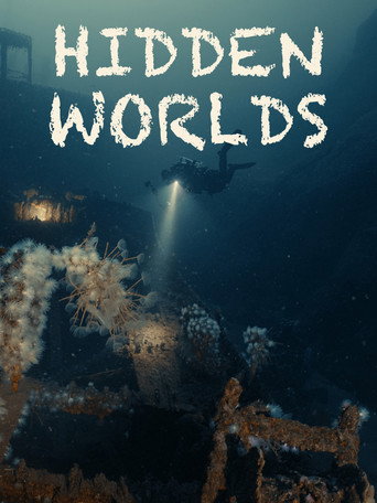 Hidden Worlds