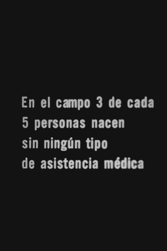 Los 505