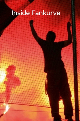 Inside fan curve - fans, ultras, hooligans
