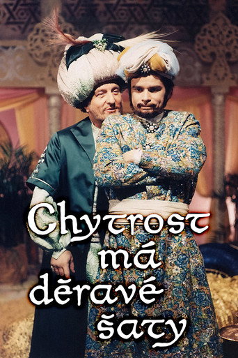 Chytrost má děravé šaty