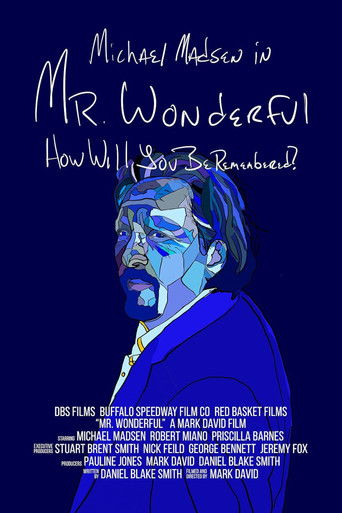 Mr. Wonderful