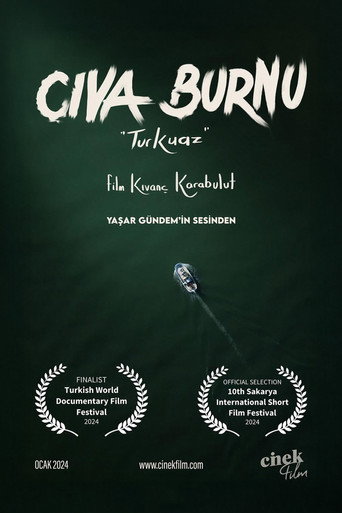 Cıva Burnu "Turkuaz"
