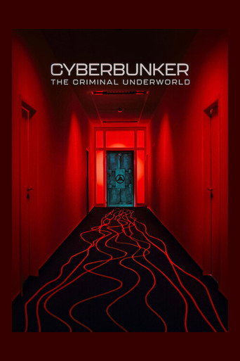 Cyberbunker: The Criminal Underworld