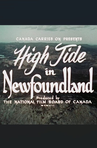 High Tide in Newfoundland