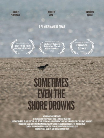 Sometimes Even the Shore Drowns