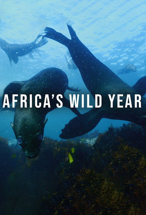 Africa's Wild Year