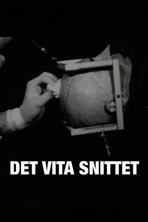 Det vita snittet