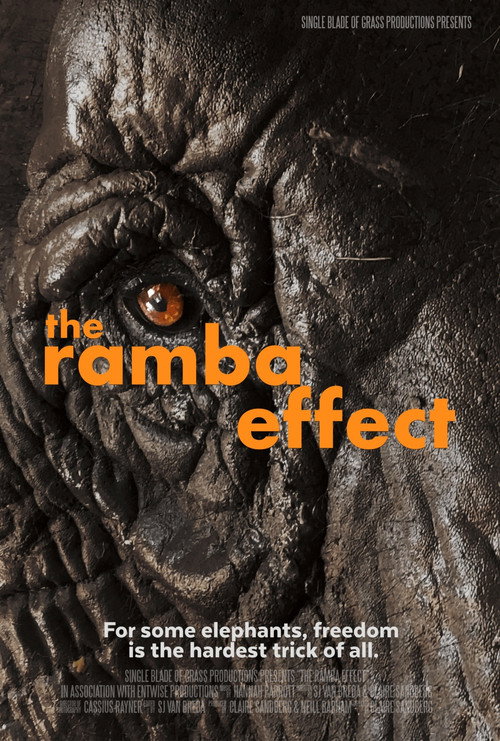 The Ramba Effect