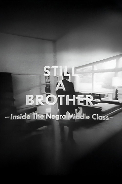 Still A Brother: Inside the Negro Middle Class