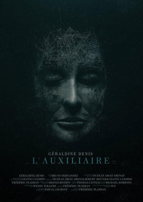 L'auxiliaire