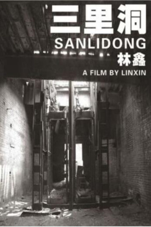 Sanlidong