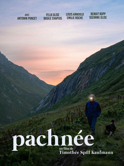 Pachnée