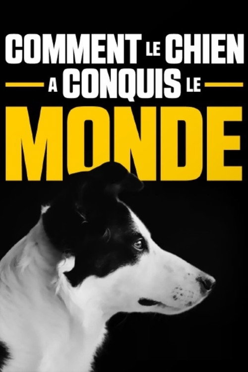 How dogs conquered the world