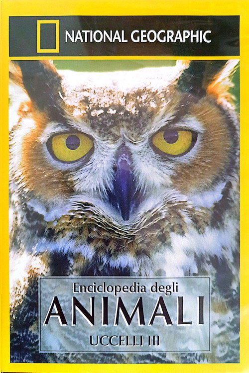 Owls: Silent Hunters