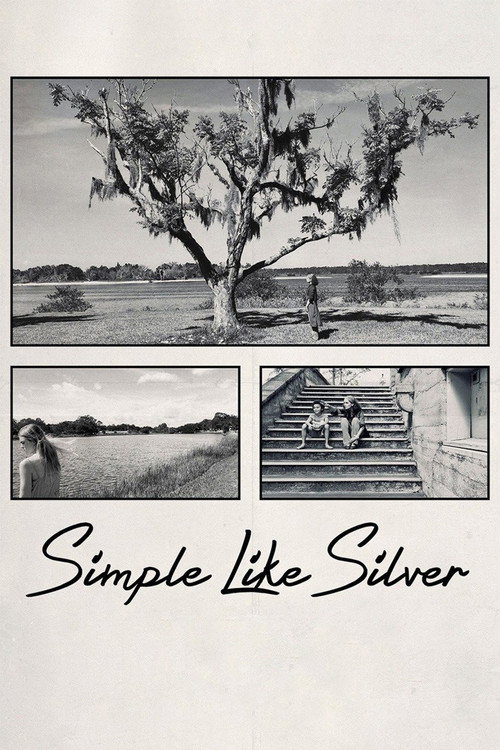 Simple Like Silver