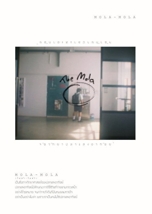 MOLA-MOLA