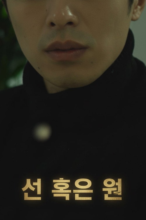 선 혹은 원