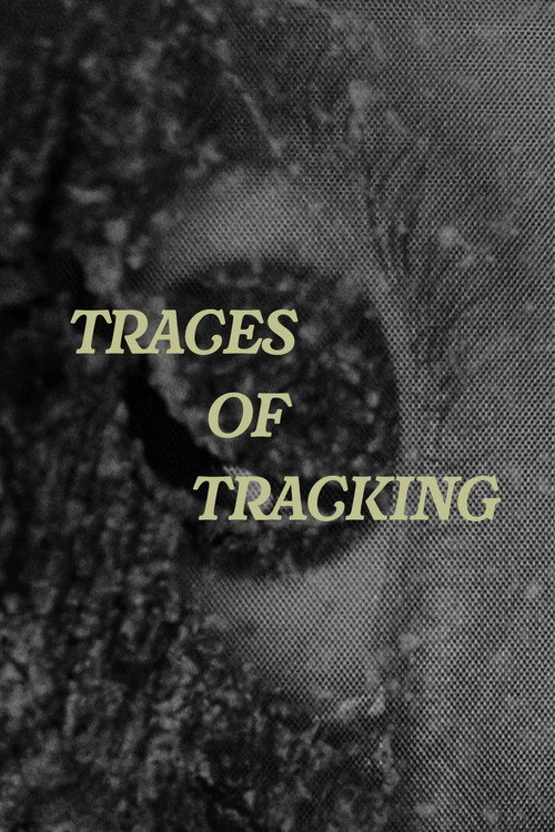Traces of Tracking