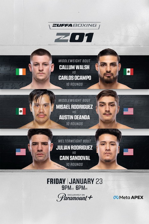 Zuffa Boxing 01