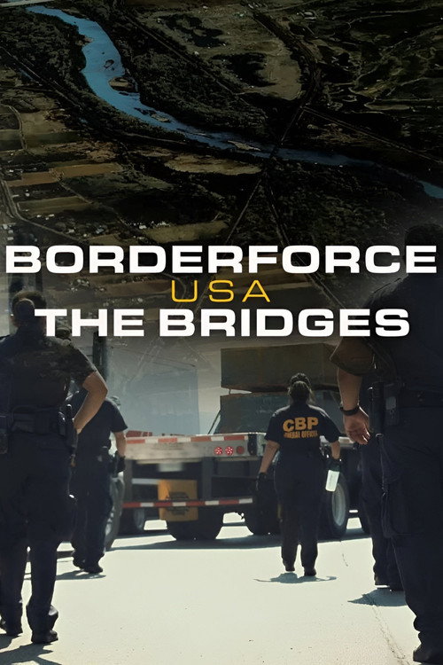 Borderforce USA: The Bridges