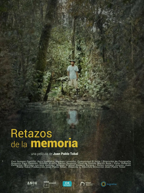 Remnants of memory